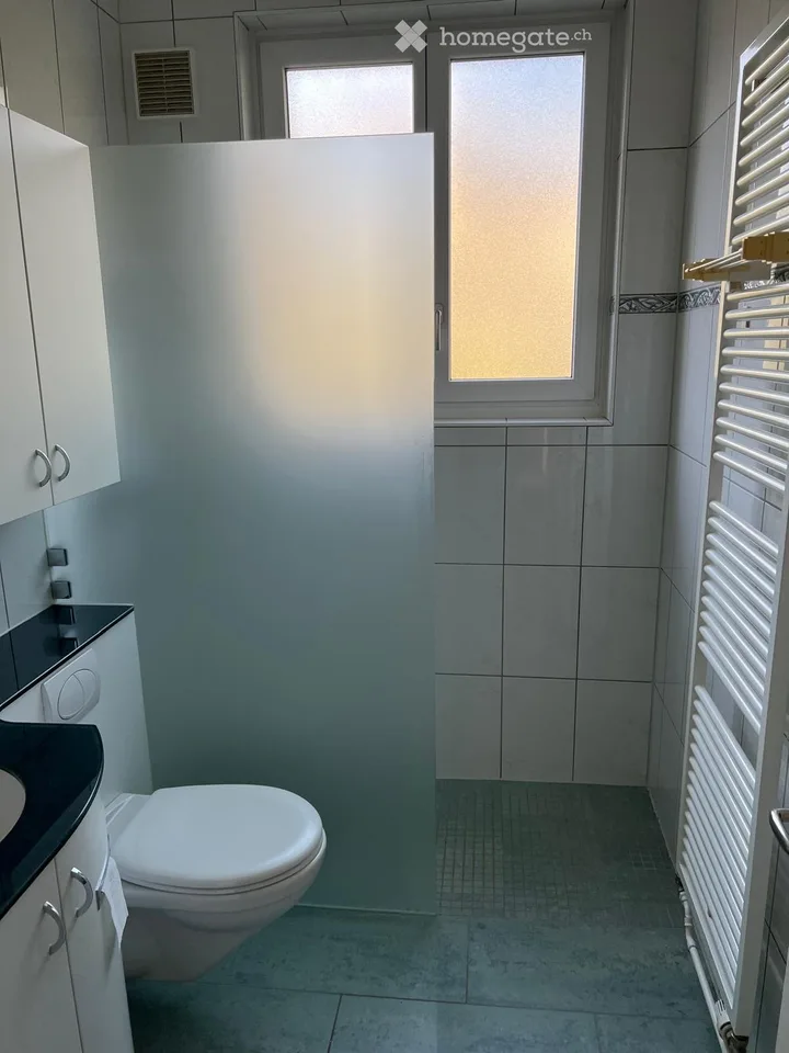 Appartamento di 3 locali ristrutturato (piano rialzato) in casa in stile Liberty