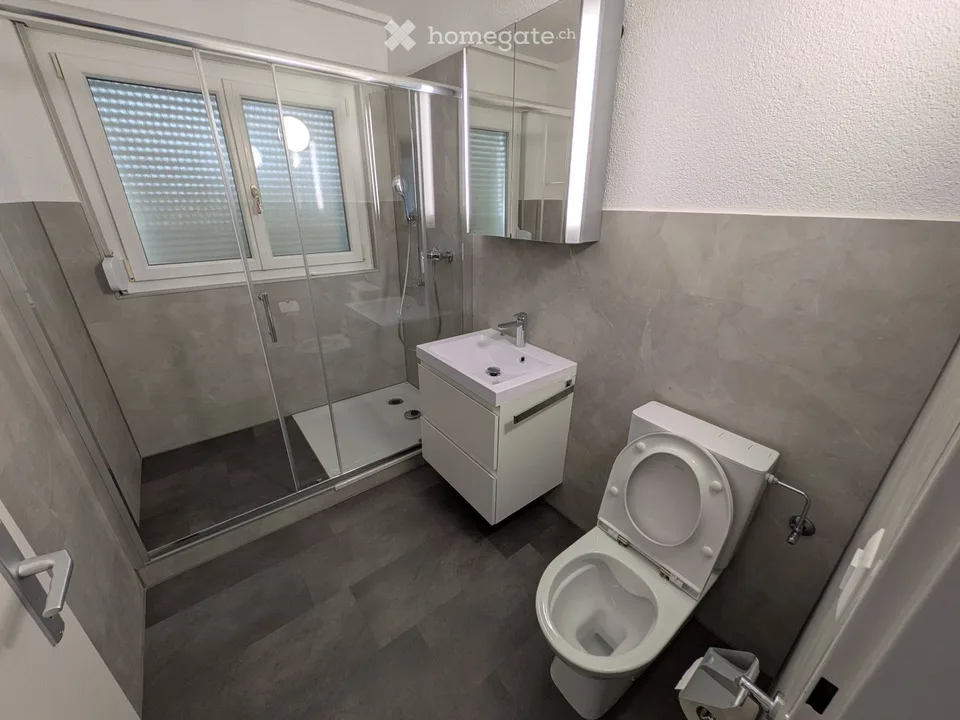 Appartement spacieux 4,5 pièces avec atelier et jardin – près de Zurich