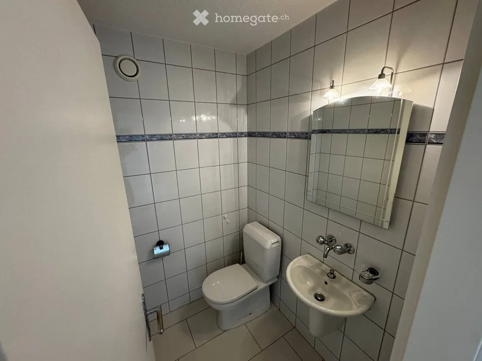 Helle 4.5-Zimmer-Wohnung mit Panoramablick in Steinhausen