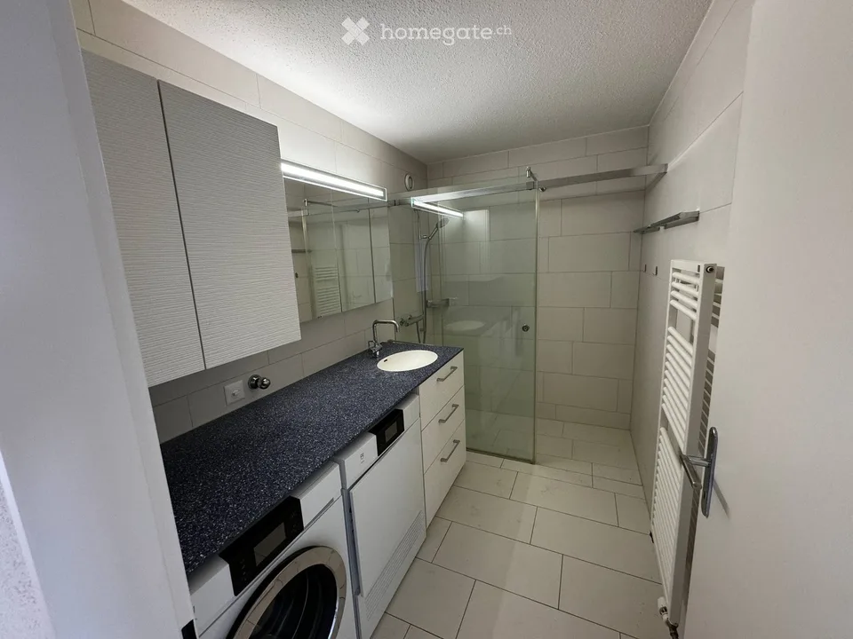 Helle 4.5-Zimmer-Wohnung mit Panoramablick in Steinhausen