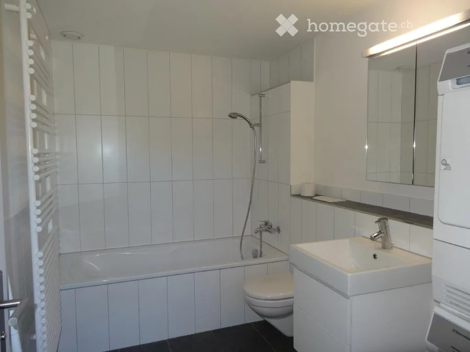 Appartement sous les toits à Rifferswil