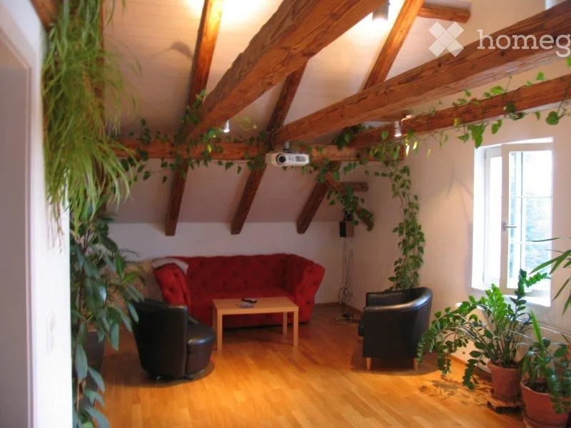 Appartement sous les toits à Rifferswil