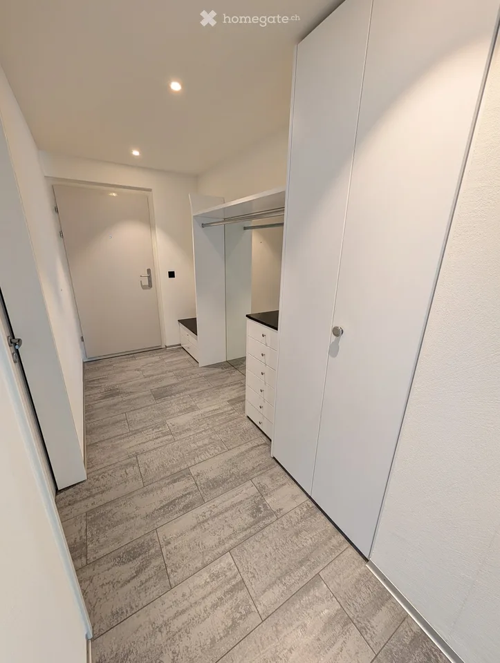 Ampio appartamento 3.5 locali 165m2 con balcone e vicinanza al lago a Lachen SZ