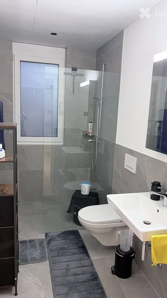 Brandneues 4,5-Zimmer-Apartment in Rikon im Tössttal – Modernes Wohnen mit hervorragender Anbindung