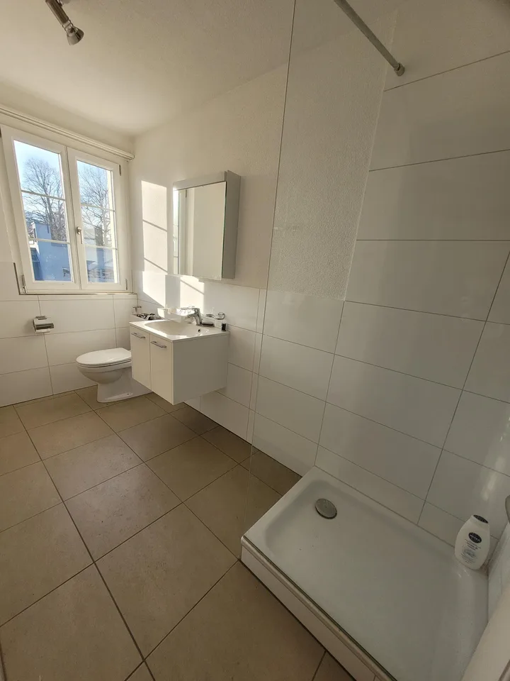 2.5-room apartment in the center
