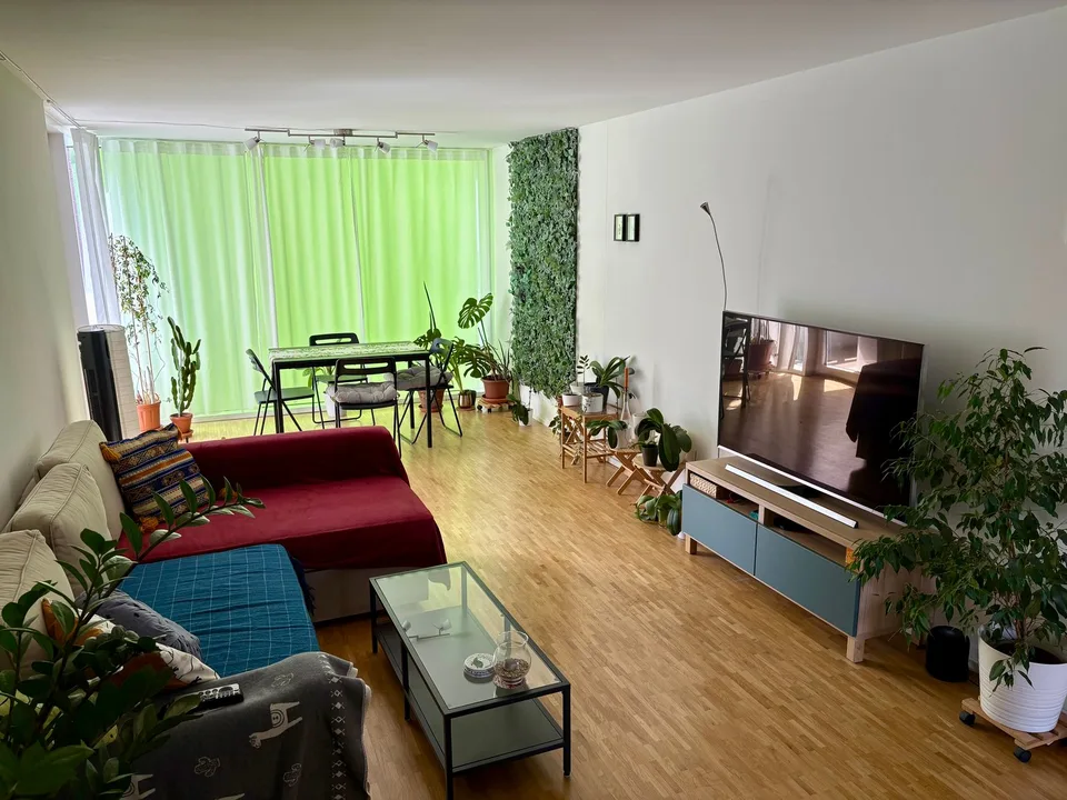 WG Zimmer Uster