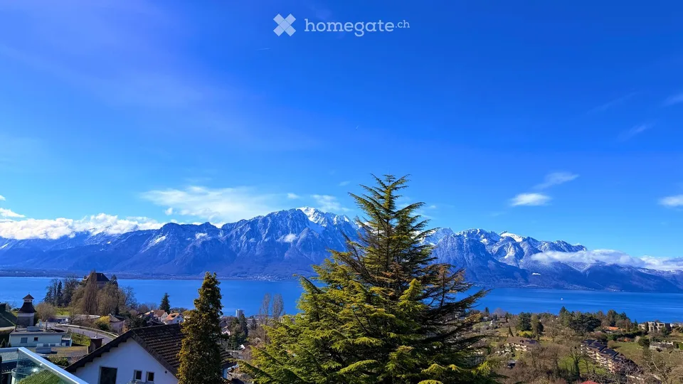Exceptional Montreux Apartment