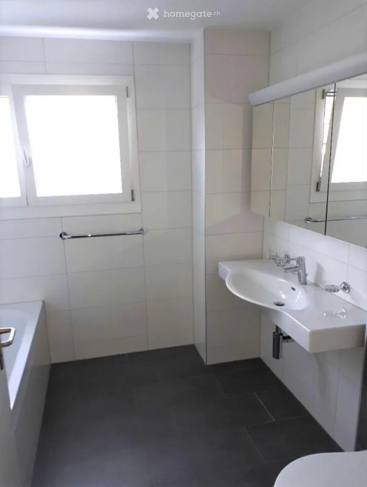 5.5-Room Semi-Detached House in Wangen b. Olten