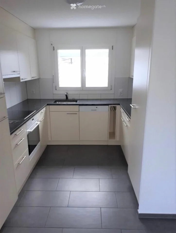 5.5-Room Semi-Detached House in Wangen b. Olten