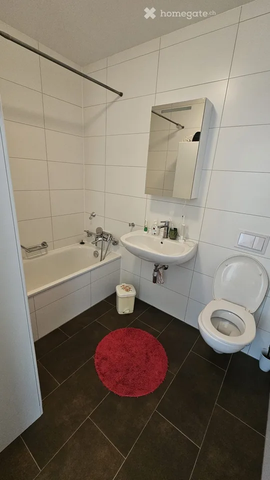 Magnifique 3.5 pcs dans le quartier d'Eikenott