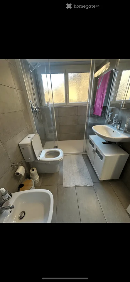 Wohnung in Arbedo