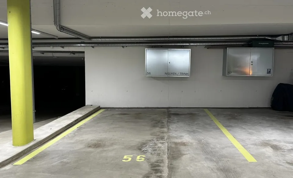 Exclusive bright 4.5-room apartment in a green area with quick connection to Zurich