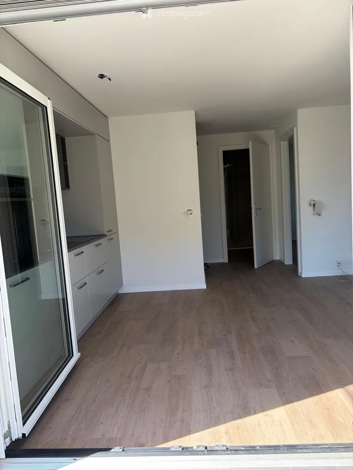 2.5 rooms completely renovated and close to the center