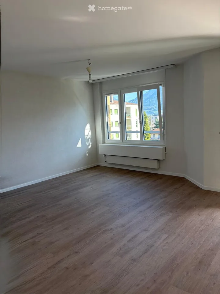 2.5 rooms completely renovated and close to the center
