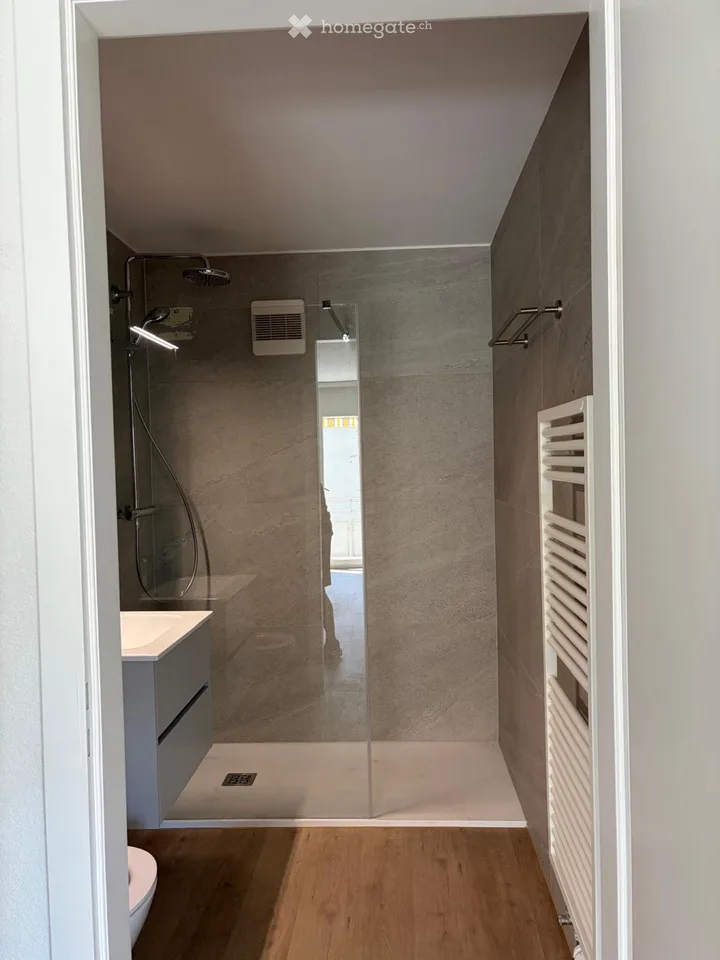 2.5 rooms completely renovated and close to the center