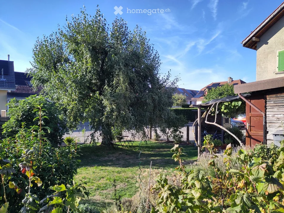 Duplex mit Charme, sehr hell, schöne Aussicht, ruhig, Garten