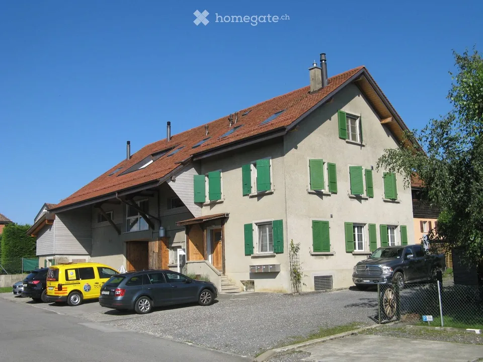 Duplex mit Charme, sehr hell, schöne Aussicht, ruhig, Garten