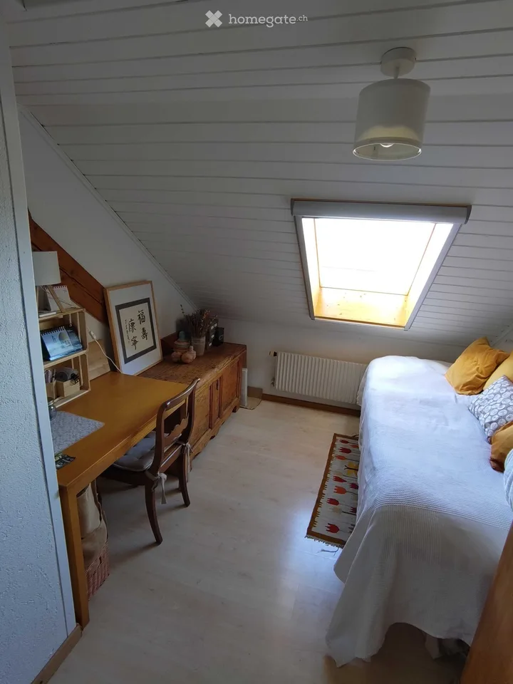 Duplex mit Charme, sehr hell, schöne Aussicht, ruhig, Garten