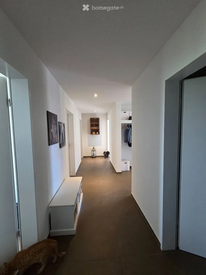 4½-Zimmer-Wohnung ab 1. Dezember. zu vermieten