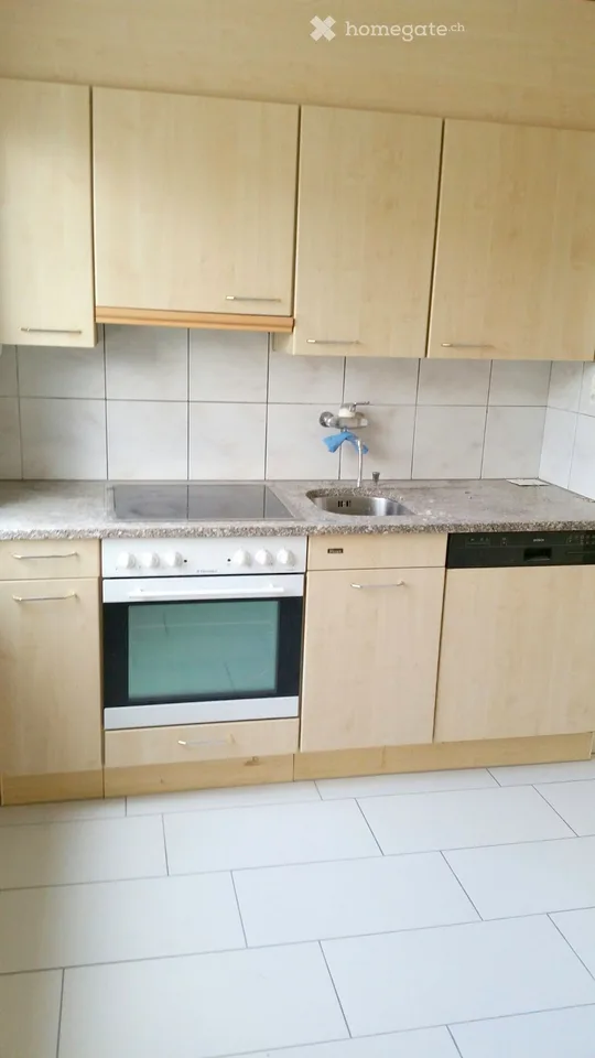 Renovated 4.5 room apartment with large terrace