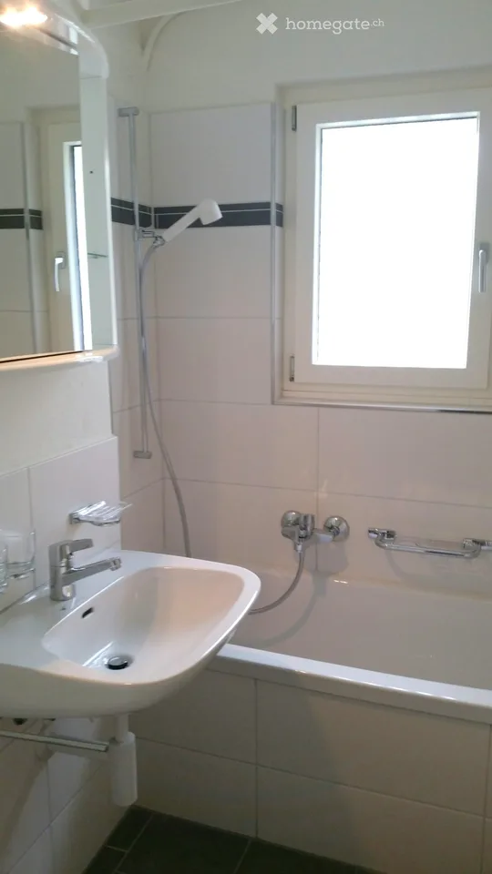 Renovated 4.5 room apartment with large terrace