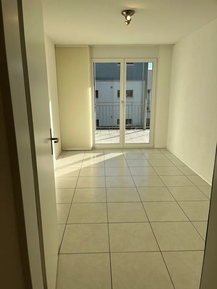 Helle 4½ Zimmer Wohnung mit grossem Balkon - Eigentumstandard