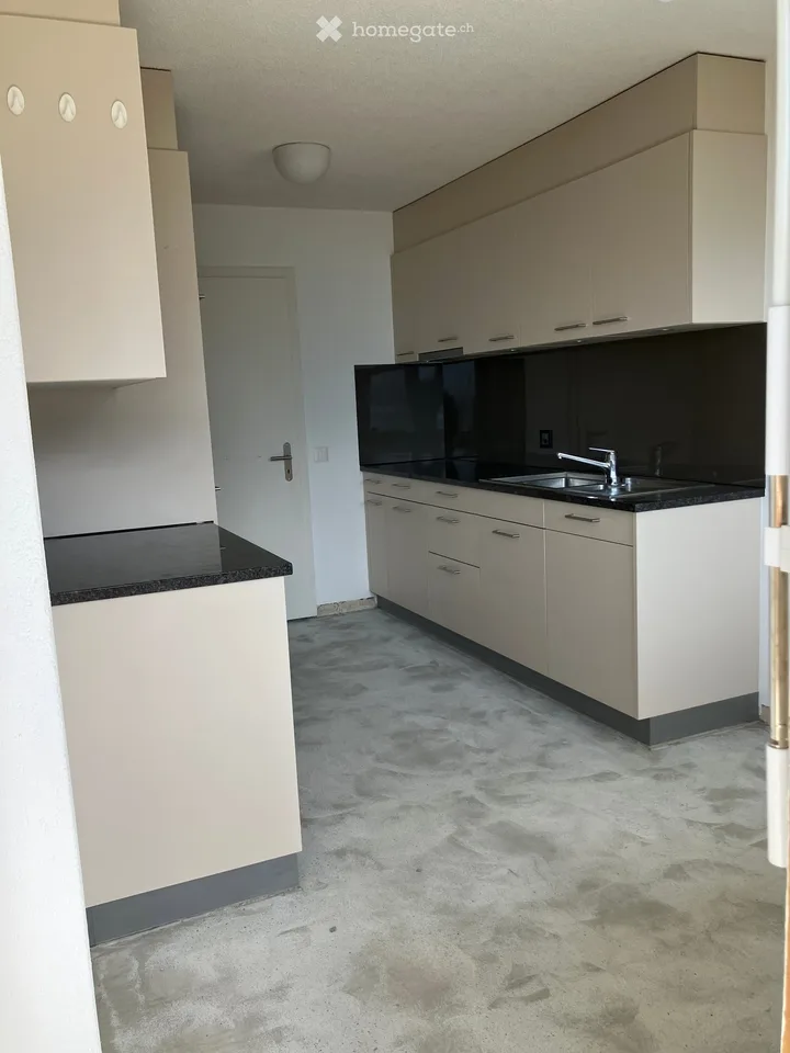 First occupancy after renovation: 4 1/2 room apartment with lake view