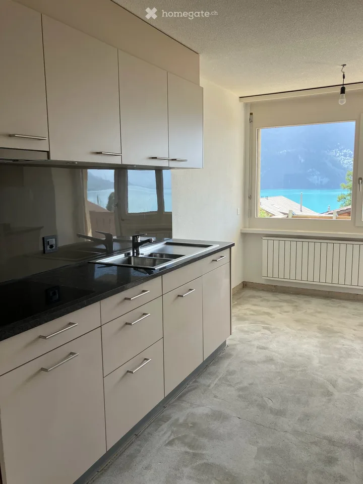 First occupancy after renovation: 4 1/2 room apartment with lake view