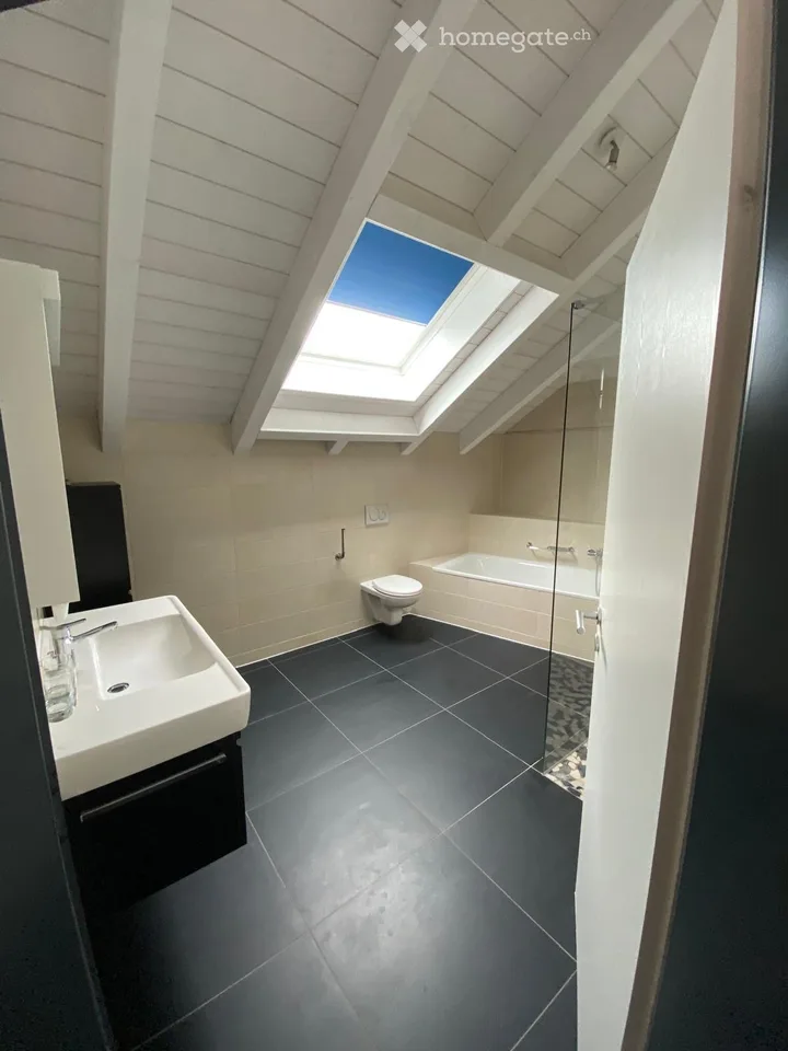 Magnificent 6.5-room attic apartment in Courtételle