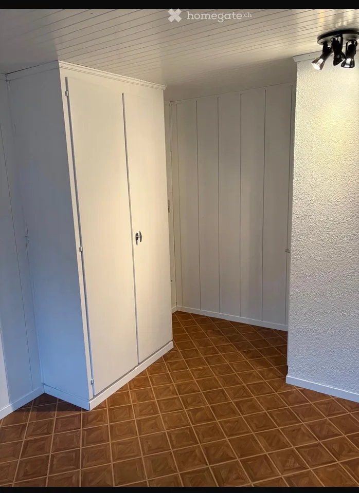 Charming 4.5-room apartment in Susten with large terrace and small balcony