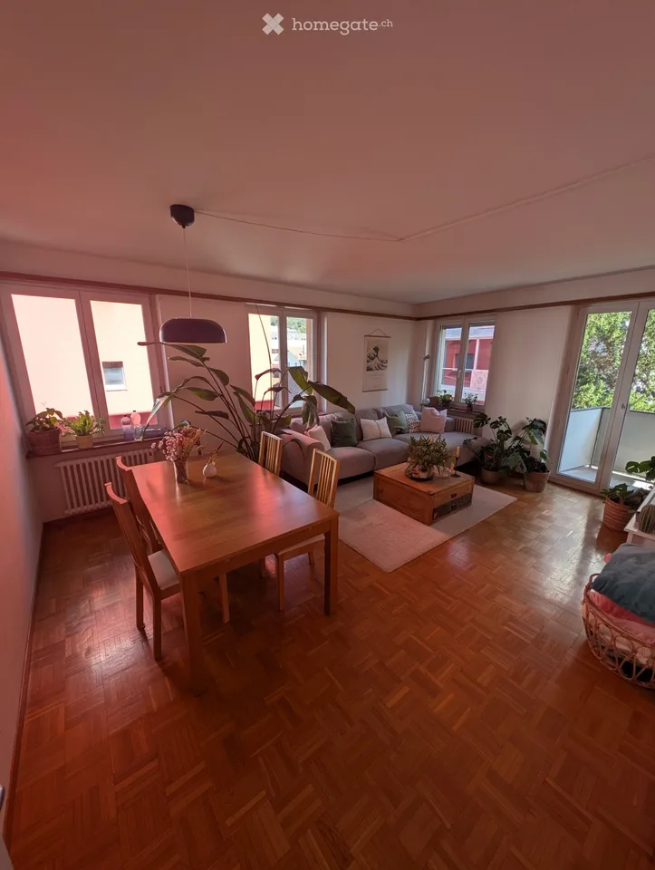 Shared room in Baden for rent