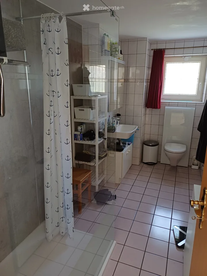 Cozy 2.5-room apartment in Nunningen – renovated and quietly located