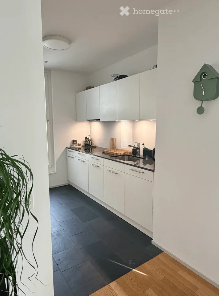 Moderne 4.5-Zimmer-Wohnung mit 2 Balkonen und 2 Badezimmer mitten in Reinach BL