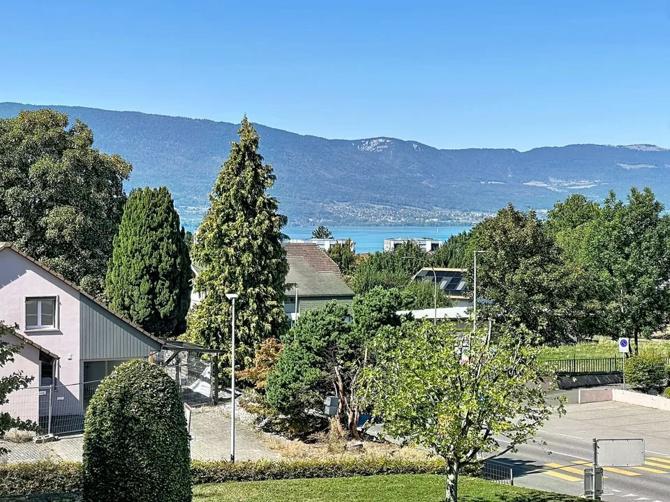 Light, space and beautiful views of the lake: a renovated apartment on the top floor – photo 12 of 24