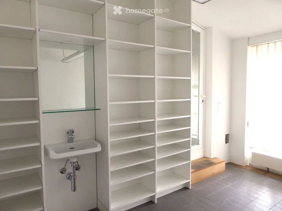 Einfamilienhaus mit mehreren Home-Office Räumen, Garten und privatem Seezugang in Küsnacht ZH