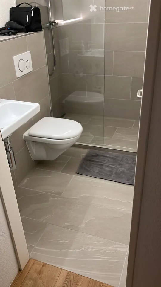 Hochwertige, renovierte 1-Zimmer-Wohnung in Embrach zu vermieten