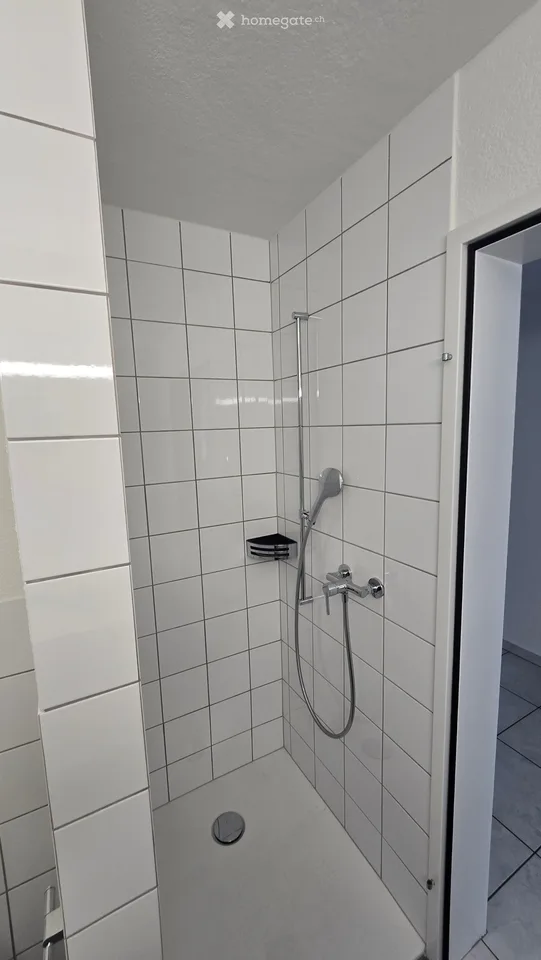 Grosszügige 5.5-Zimmer-Wohnung im 1. Obergeschoss – Ziegelhof 16, 8718 Schänis