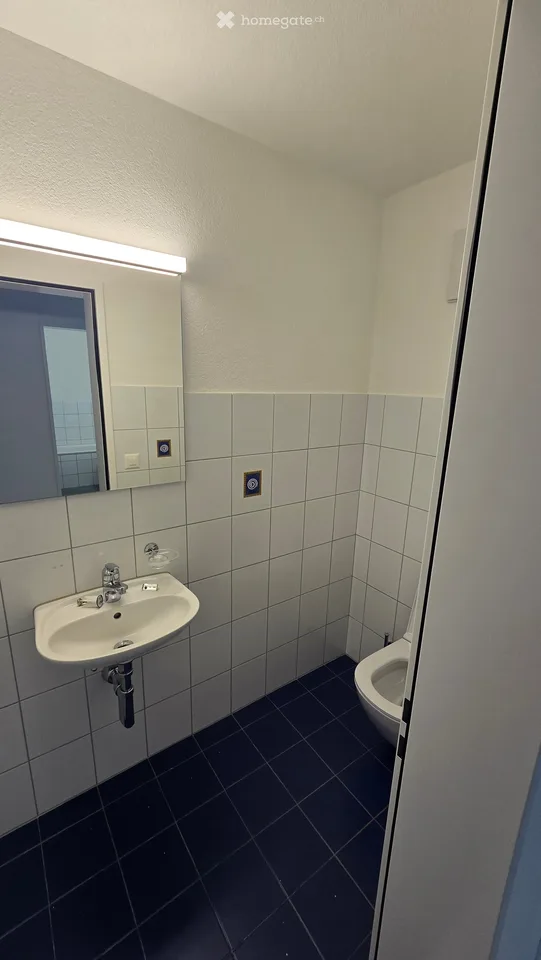 Grosszügige 5.5-Zimmer-Wohnung im 1. Obergeschoss – Ziegelhof 16, 8718 Schänis