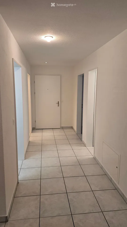 Grosszügige 5.5-Zimmer-Wohnung im 1. Obergeschoss – Ziegelhof 16, 8718 Schänis