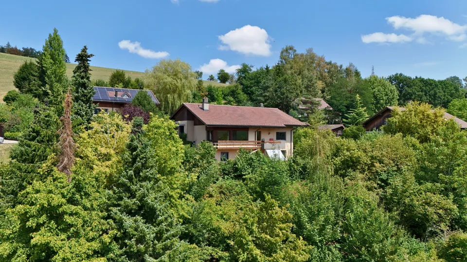 A home with space for life, family, and new ideas – photo 12 of 15