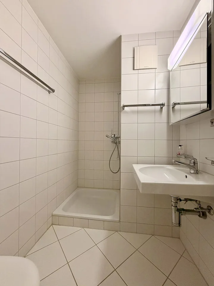 Attractive 4.5-room apartment in Uetikon am See