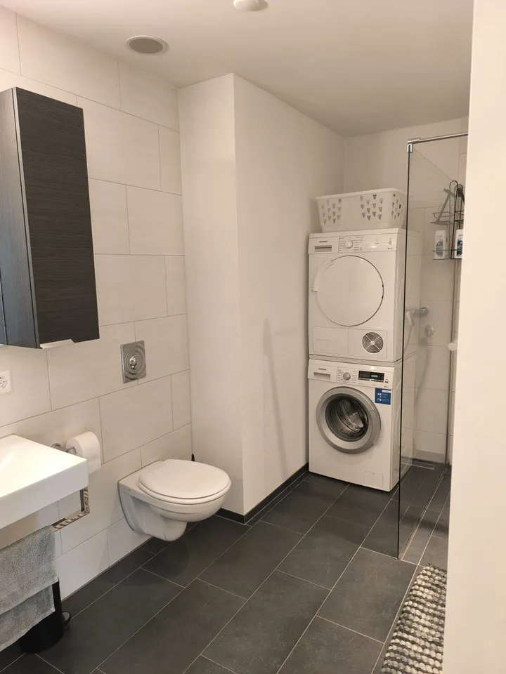 Modern 3.5-room apartment