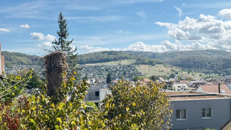 Freistehendes Einfamilienhaus mit grosser Aussichtsterrasse in Frenkendorf – Foto 12 von 16
