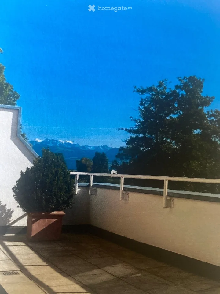 4.5 room attic apartment with 54m2 south terrace