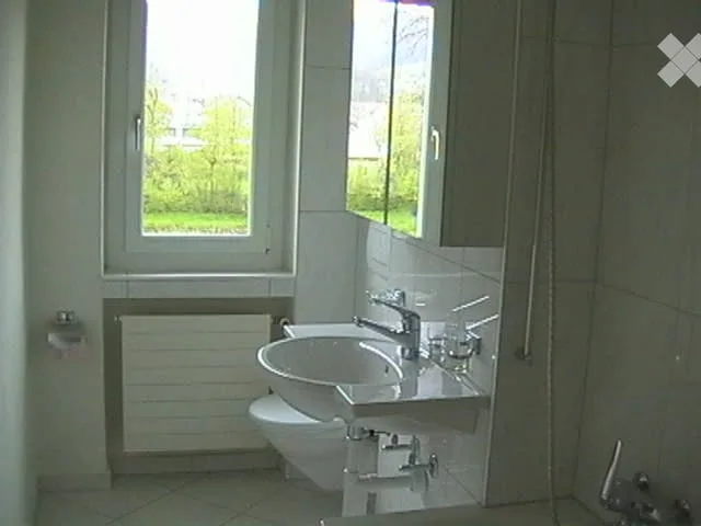 An der Sihl