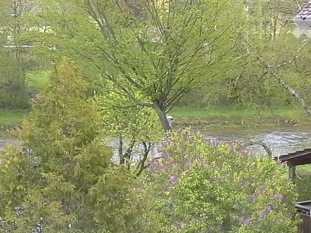 An der Sihl