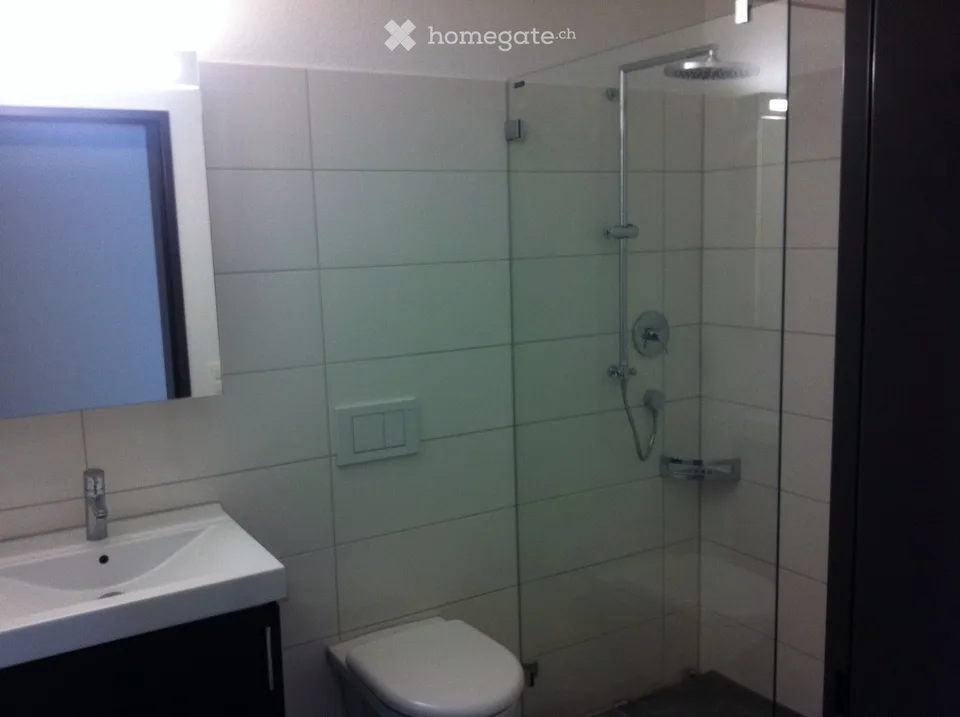 Grosszügige 5.5-Zimmer-Terrassenwohnung in Birmenstorf