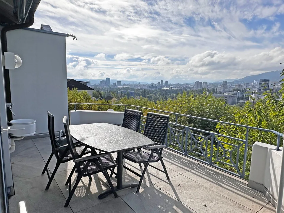 Exclusive two-story apartment with a panoramic view of Zurich – photo 12 of 13