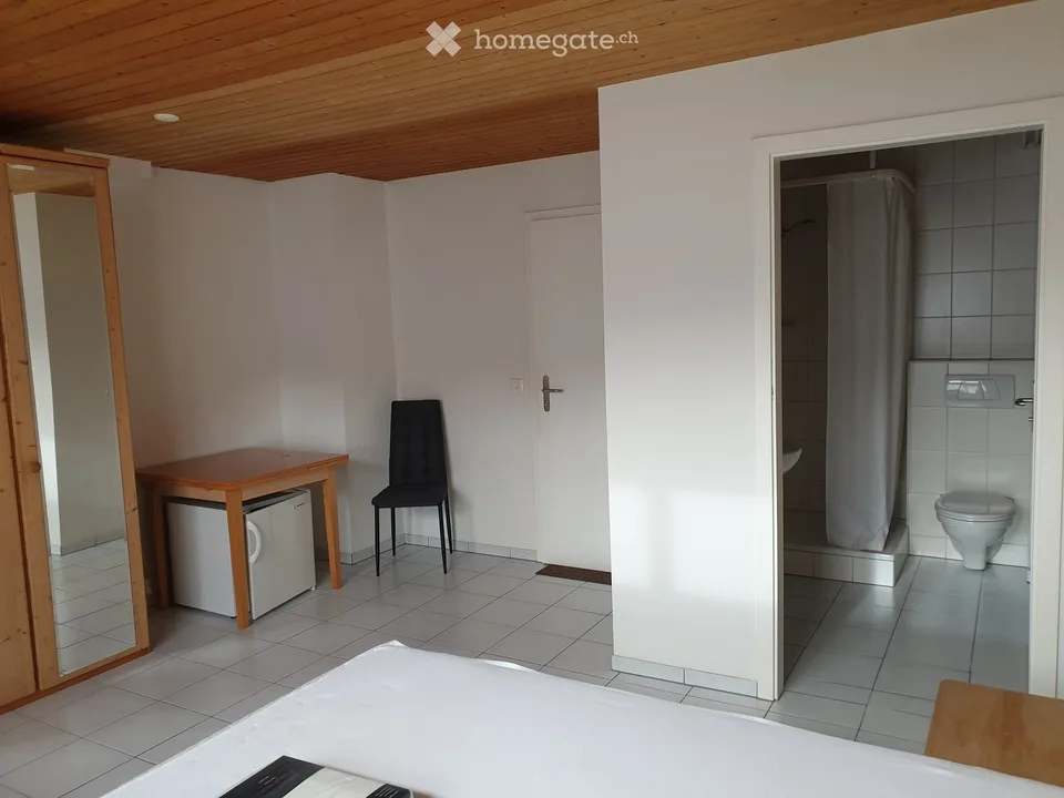Furnished Studio in Glattfelden – Available Immediately