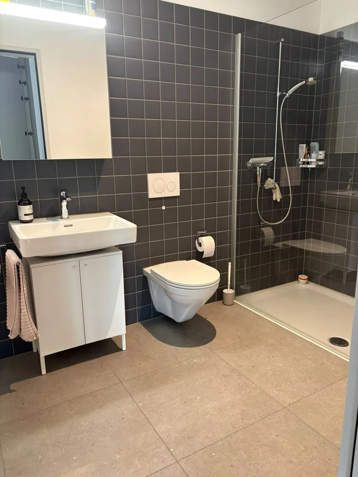 2½ ZI-WOHNUNG IN HORW (LU), MÖBLIERT, TEMPORÄR